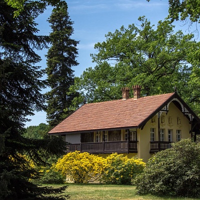 WEB  MG 2677 : Rhododendronpark Kromlau