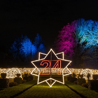 WEB IMG 7508 : Berlin, Botanischer Garten, Christmas Garden