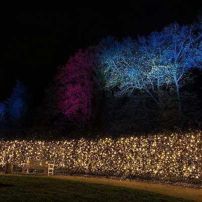 WEB IMG 7612 : Berlin, Botanischer Garten, Christmas Garden