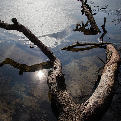 Schatten