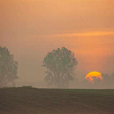 IMG 7192-LR 3K